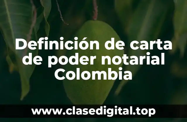Ejemplos de carta de poder notarial
