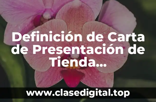 Ejemplos de Carta de Presentación de Tienda Personalizada