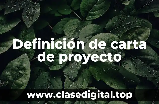 Definición de carta de proyecto