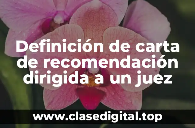 Definición de carta de recomendación dirigida a un juez