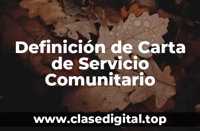 Ejemplos de Carta de Servicio Comunitario