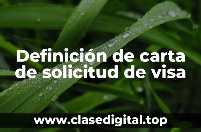 Definición de carta de solicitud de visa