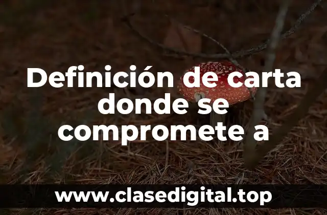 Definición de carta donde se compromete a
