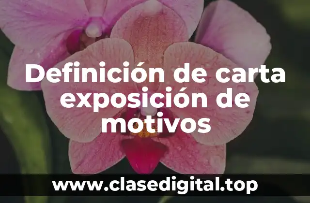 Ejemplos de carta exposición de motivos