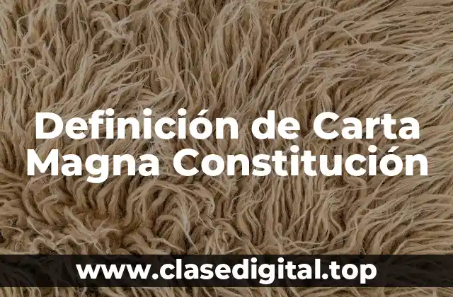 Definición de Carta Magna Constitución