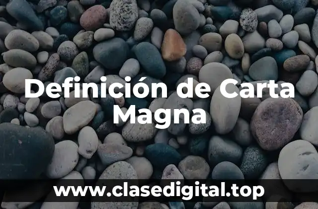Definición técnica de Carta Magna