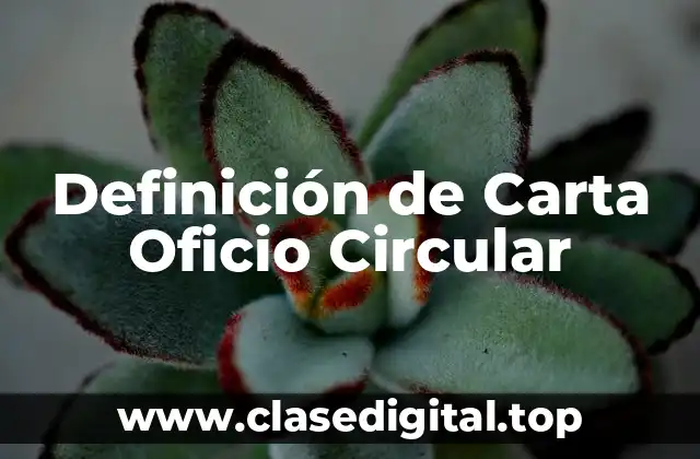 Definición de Carta Oficio Circular