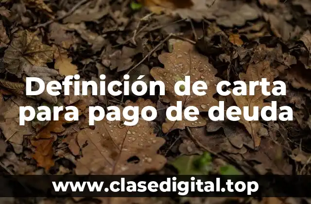 Definición de carta para pago de deuda