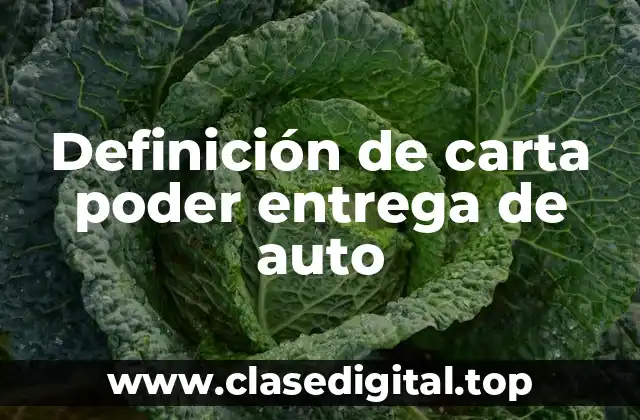Definición de carta poder entrega de auto