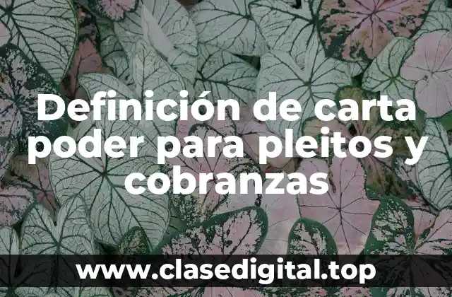 Ejemplos de carta poder para pleitos y cobranzas