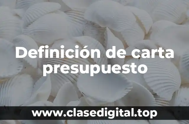 Definición de carta presupuesto