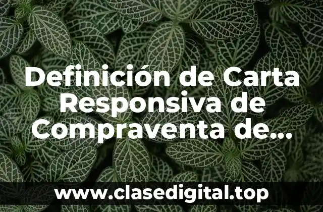 Definición técnica de Carta Responsiva de Compraventa de Vehículo