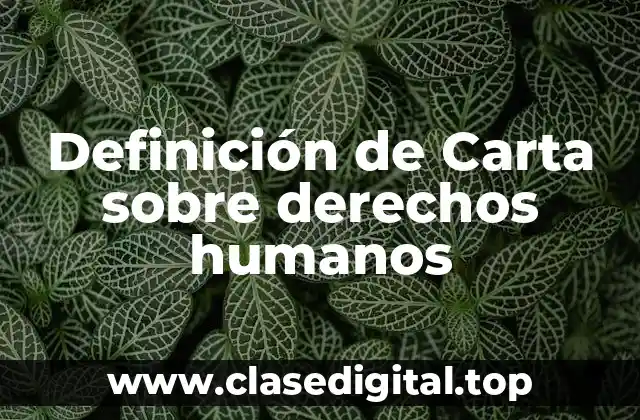 Definición de Carta sobre derechos humanos