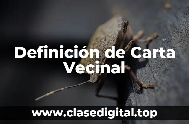 Definición de Carta Vecinal