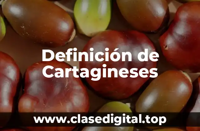 Definición de Cartagineses