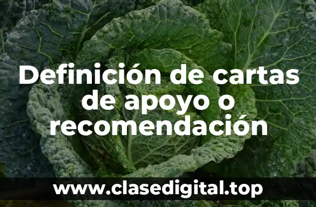 Definición de cartas de apoyo o recomendación