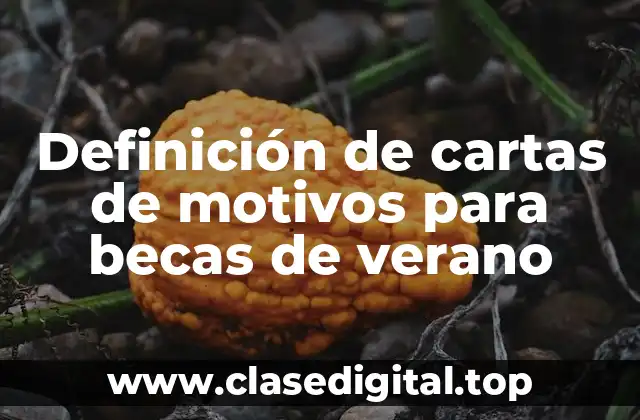 Definición de cartas de motivos para becas de verano