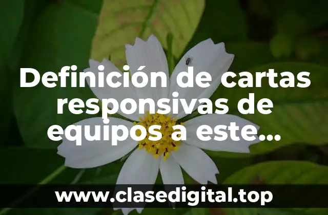 Definición de cartas responsivas de equipos a este equipo