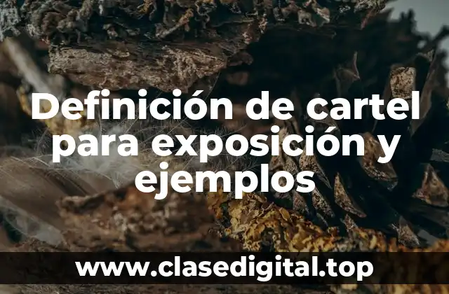 Definición de cartel para exposición y ejemplos
