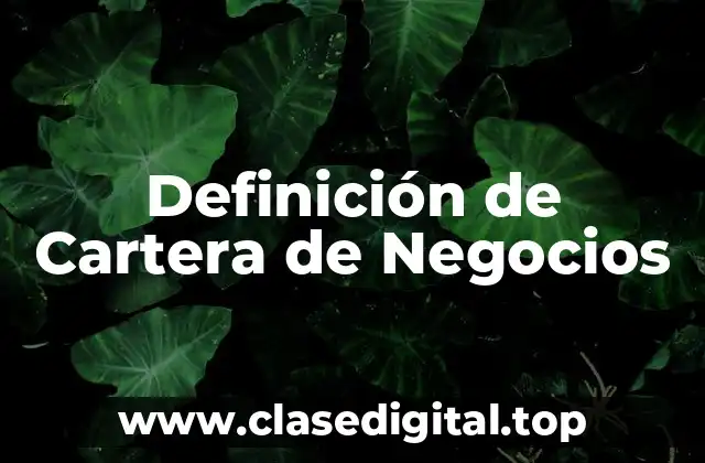 Definición de Cartera de Negocios