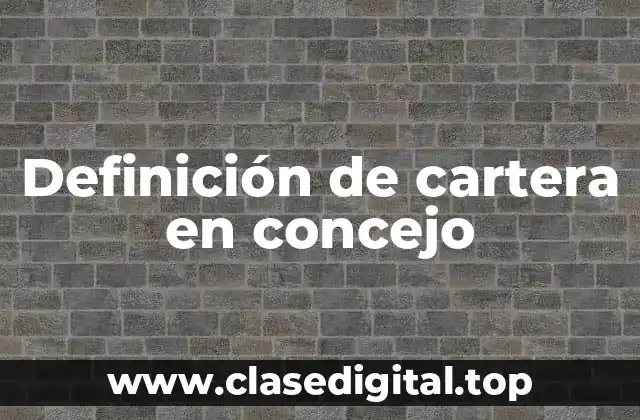 Definición de cartera en concejo