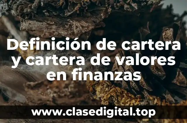 Definición de cartera y cartera de valores en finanzas