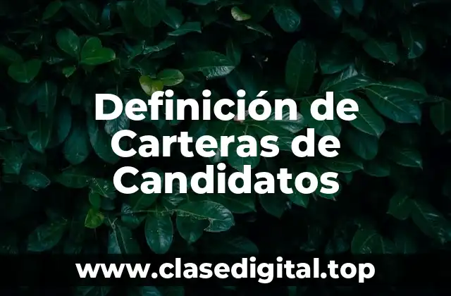 Definición de Carteras de Candidatos