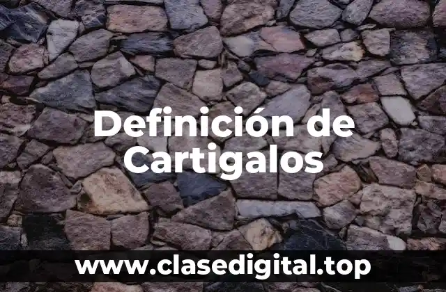 Definición de Cartigalos