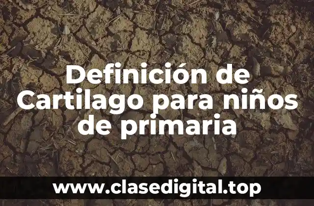 Definición técnica de cartilago