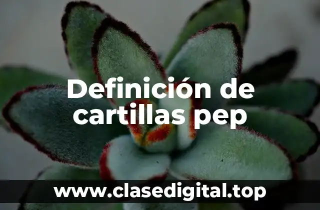 Definición de cartillas pep