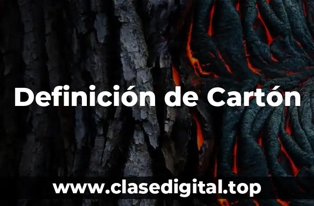 Definición de Cartón