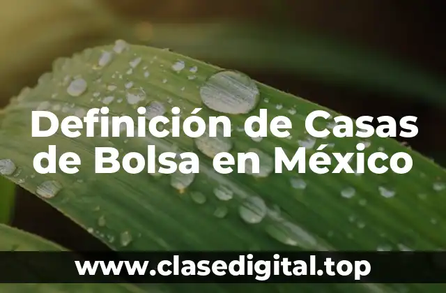 Definición técnica de Casa de Bolsa en México