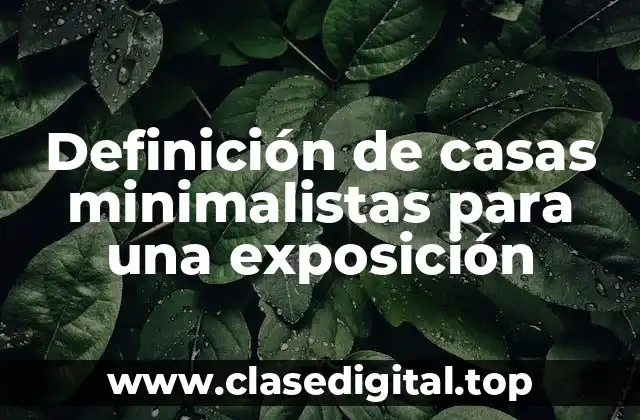 Definición de casas minimalistas para una exposición