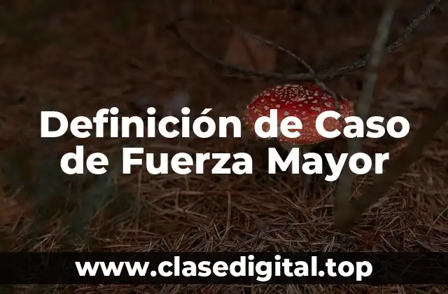 Definición de Caso de Fuerza Mayor
