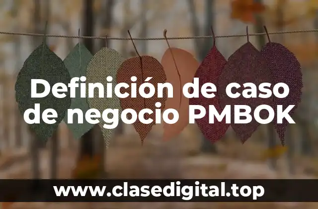 Definición de caso de negocio PMBOK