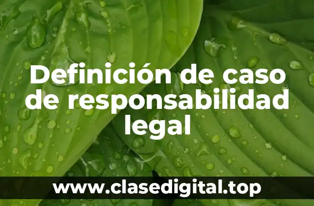 Definición de caso de responsabilidad legal