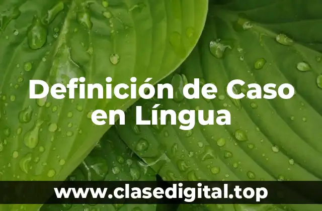 Definición de Caso en Língua