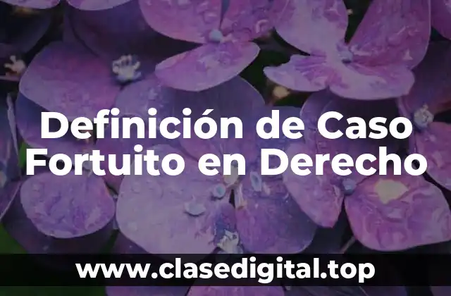 Definición de Caso Fortuito en Derecho