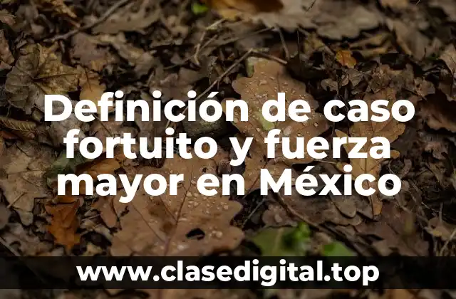 Definición de caso fortuito y fuerza mayor en México