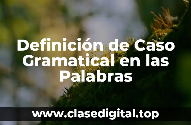 Definición de Caso Gramatical en las Palabras