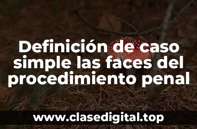 Definición de caso simple las faces del procedimiento penal