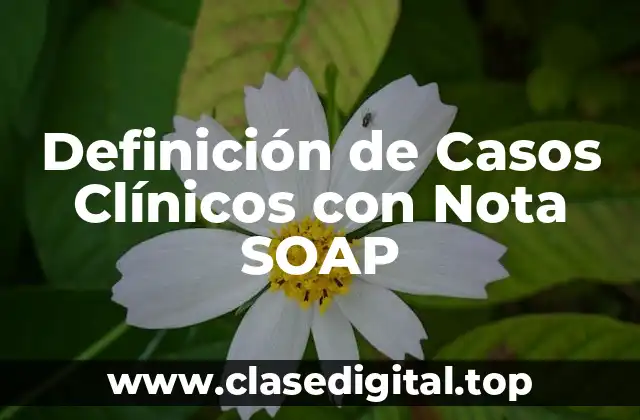 Definición de Casos Clínicos con Nota SOAP