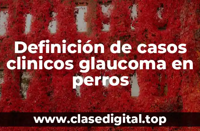 Definición de casos clinicos glaucoma en perros