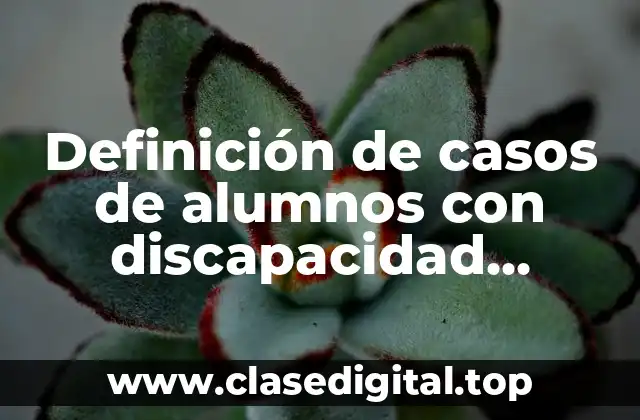 Definición de casos de alumnos con discapacidad intelectual
