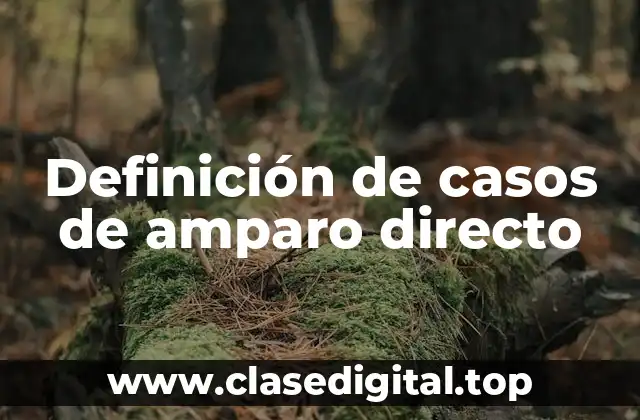 Definición de casos de amparo directo