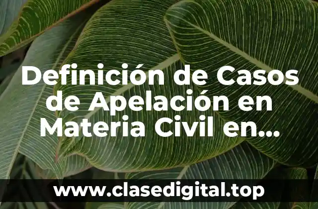 Definición de Casos de Apelación en Materia Civil en Tlaxcala