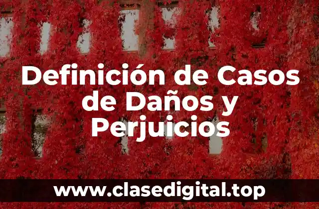 Definición de Casos de Daños y Perjuicios