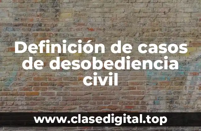 Definición de casos de desobediencia civil