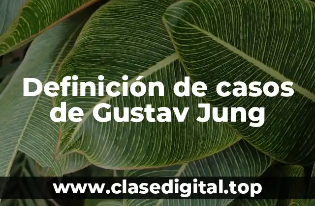 Ejemplos de casos de Gustav Jung