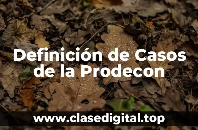 Definición de Casos de la Prodecon